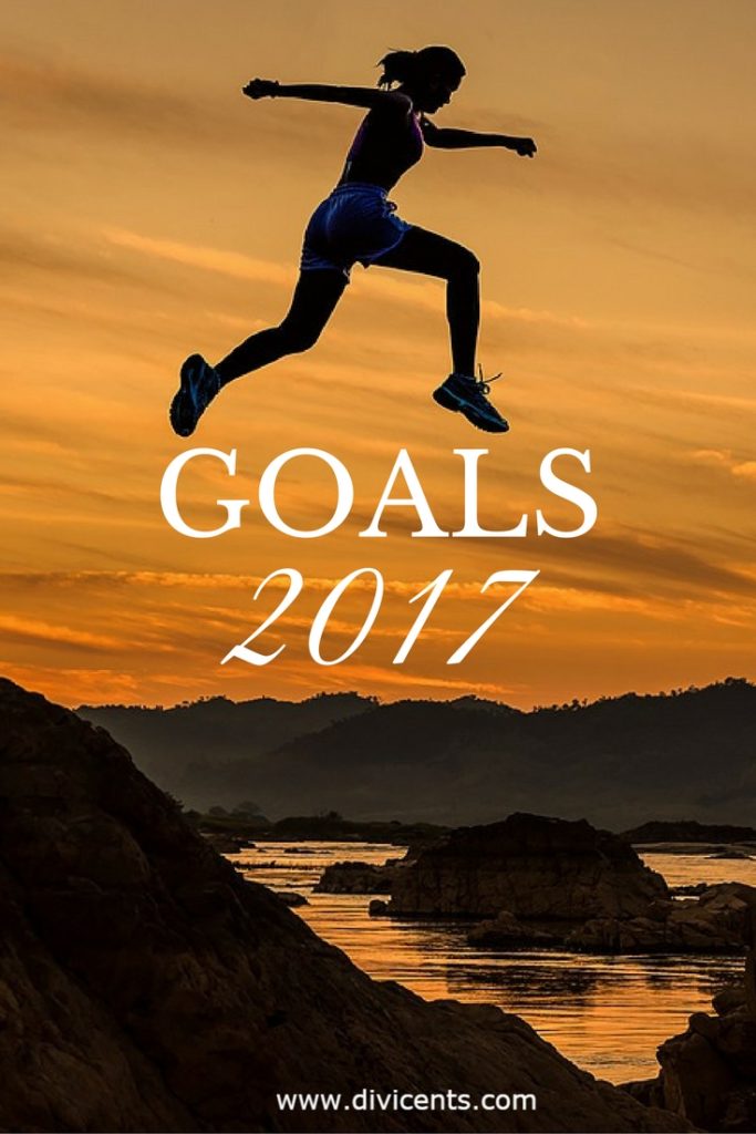 My Goals 2017