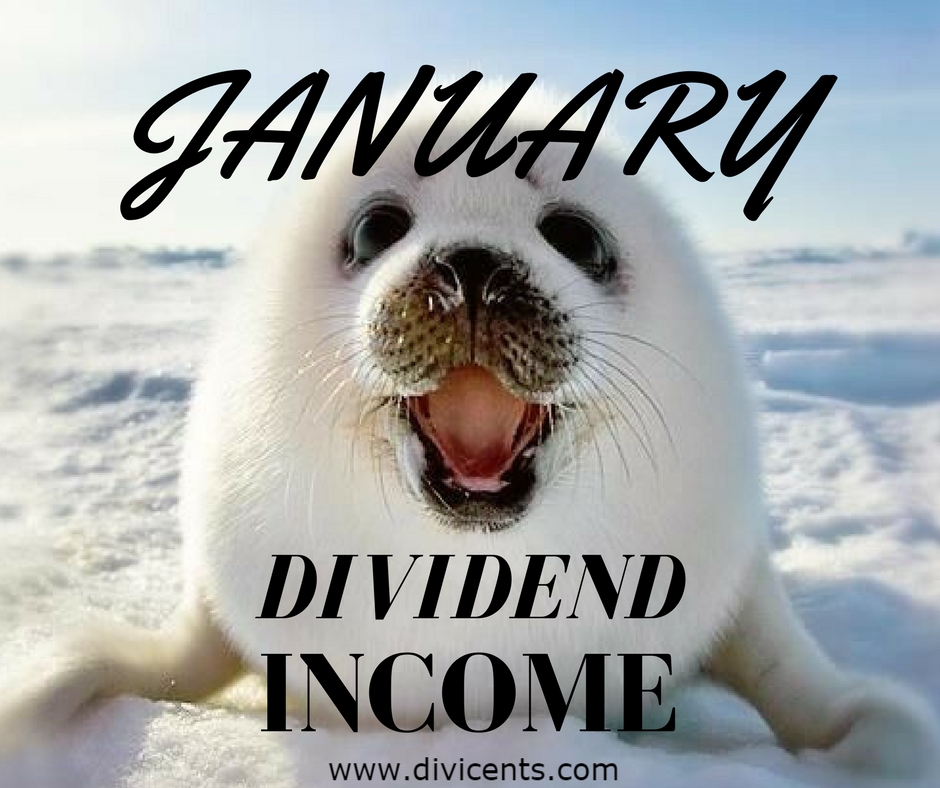 January Income